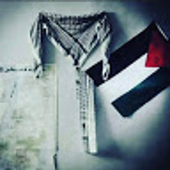 User 915216924