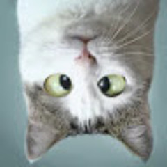 Brian van der Linden