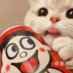蘇予禾