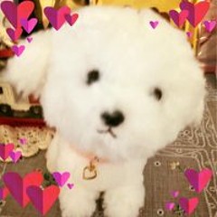 星 奈々