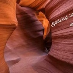mohamed