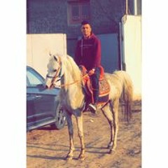 Mohamed Helal