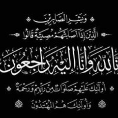 محمد مروان محمودشحات