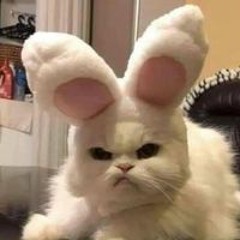 Thanh Thanh