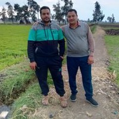 عيسى المراكبى
