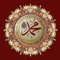 Mohammadalbaqubi