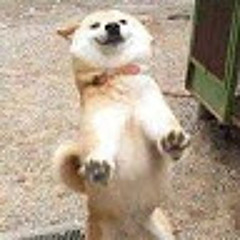 Bubbly Wubbly