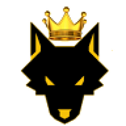 WOLF KING RIDER’s avatar