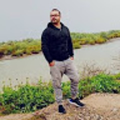 محسن حیوری