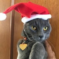 Esteban Enzo