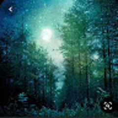 System of the forest