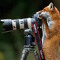 WannabePodcaster