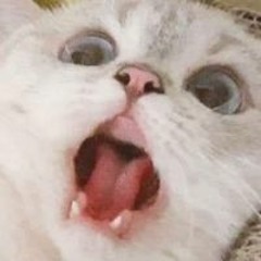 서정민