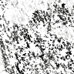 User 630119805
