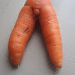 Christine McMillan 1