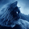 AFluffyKitten13762
