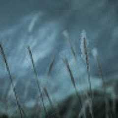 Playlist Nhạc Ballad Buồn, Tâm Trạng Cho Người Thất Tình - Một Ngàn Nỗi Đau, Em Gái Mưa, Rời Bỏ