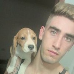 User 856401569