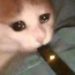 First Name Last Name