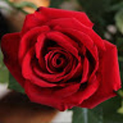 ZAINAB 2010