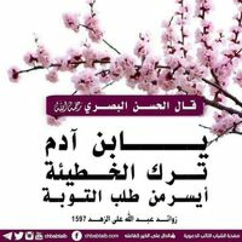 بهاء محمود أحمد حجاج’s avatar