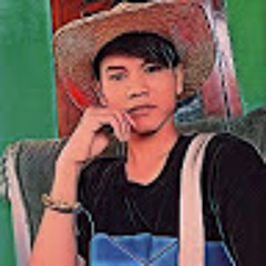 Hendri irawan22