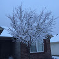 uronefrend uronefend