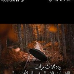 Rody Shrif
