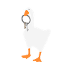 Philosophical Goose