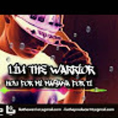 Liu the Warrior