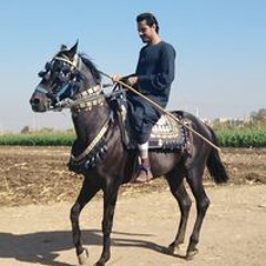 جمال الخيال