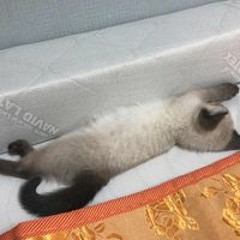 성경준