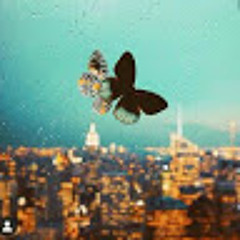 Fatima noor