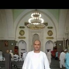 نورهان شحته رضوان