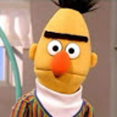 bert