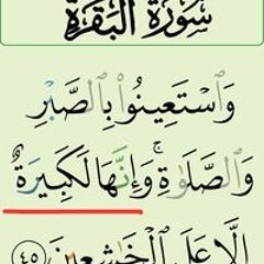 onlymp3.to - مصطفى السني - أرض الخير - حفل الدوحة-X7mS4NQGQ6o-256k-1654511421775.mp3