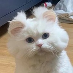 YuSung