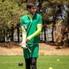 pouria boreiry
