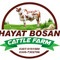 Hayat Bosan Cattel Farm