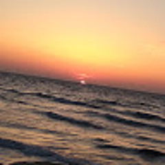 Анастасия Цехова