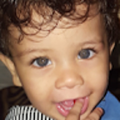 Alex Net