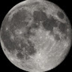 [cover]3D/Biela-PK shampoo