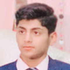 Hamza Raees Malik