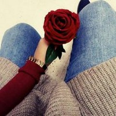 Abeer Fathy