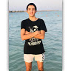 Mohamed Gamal Abdelghany