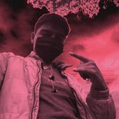 dnvn420