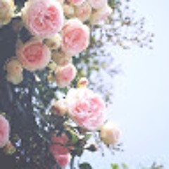 User 113400658