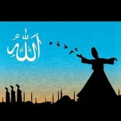 Salwa Hamed