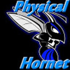 Physical Hornet