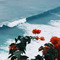 User 32230002
